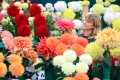 National Dahlia Society Show