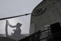 A Harpist at the Mill