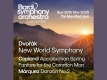 Bardi Symphony Orchestra - Dvorak New World Symphony