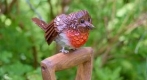 Wild and Wonderful Sculpture at Standen: Alison Catchlove