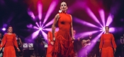 Flamenco Fire