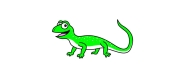 Discovery Day – Amazing amphibians and remarkable reptiles!