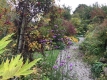Marton cum Grafton Open Gardens