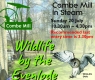 Wildlife by the Evenlode    Combe Mill 20th July 2025