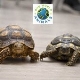 One World Animals - Maidenhead