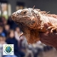 One World Animals - Princes Risborough