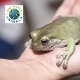 One World Animals - Cobham
