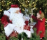 Magical Christmas Experience