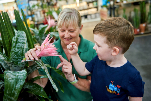 Dobbie August Little Seedlings Club:Prehistoric Plants