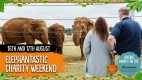 Elephant Charity Weekend  16th & 17th August
