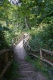 Sociable walks at Nymans with the Ranger team