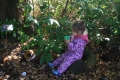 Trails and Tales: What the Ladybird Heard