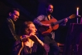 CarmenCo presents A POCKET OPERA