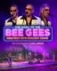 THE MAGIC of the BEE GEES