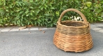 Willow Foraging Basket Workshop