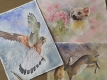 Artists Wildlife Painting Workshop