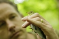 Bird-ringing Demonstration