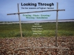 Art exhibition - Looking through… The four seasons of Pagham Harbour