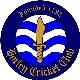 Women and Girls Cricket/Rounders evening