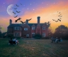 Pizza and Pipistrelles Night