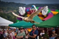 Gatton Country Fair