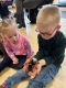 One World Animals - Woking