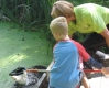 Pond Dipping