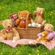 Teddy Bear Picnic