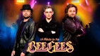 Goosfest - Jive Talking Bee Gees tribute show