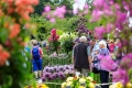 Wisley Flower Show