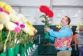 National Dahlia Society Show