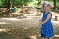 Trails and Tales: What the Ladybird Heard (am or pm)