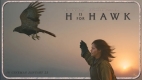 Film screening: H is for Hawk (12A)