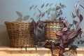 Make a willow planter