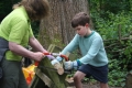 Wild Saplings: Home Education Group (children aged 4-7 years)