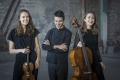Amelio Trio – Piano Trio Concert