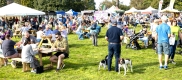 The Forest Showcase Food Festival