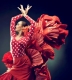 Flamenco Night by London Flamenco Project