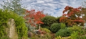 Daily guided tours of the garden at Nymans