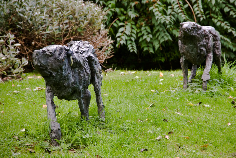 Organisation Image Organisation Image