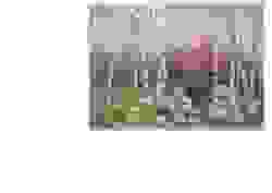 Organisation Image Organisation Image