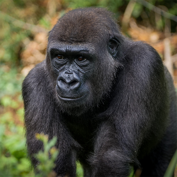 Organisation Image Organisation Image