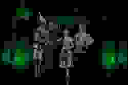 Organisation Image Organisation Image